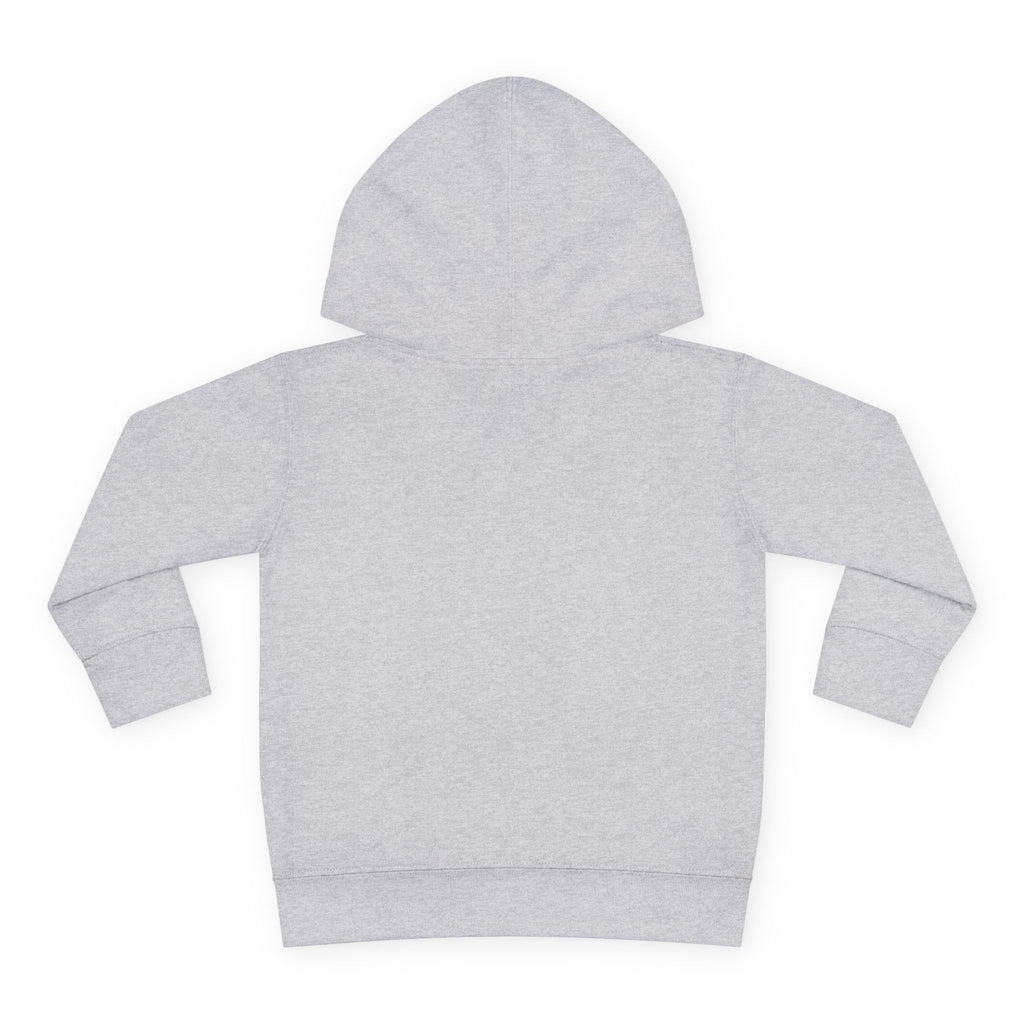 American Originals - Grey Hoodie (Toddler)